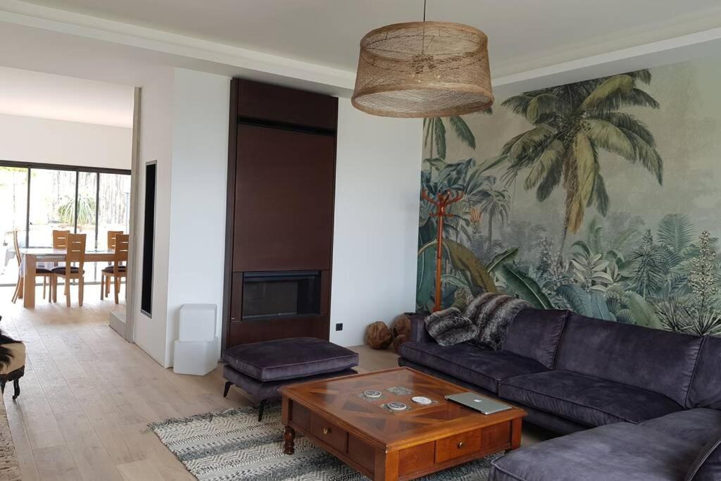 Villa La Thelma 5 Etoiles, Piscine, Sauna Et Jacuzzi Granville
